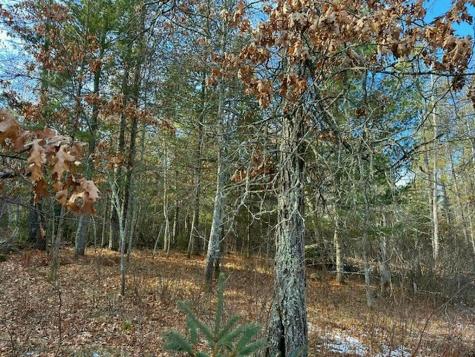 Tbd Wildwood Avenue Nevis MN 56467