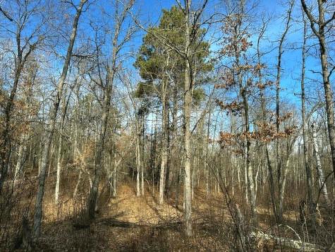 Tbd Wildwood Avenue Nevis MN 56467
