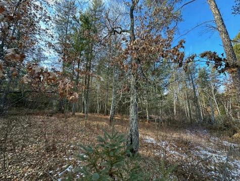 Tbd Wildwood Avenue Nevis MN 56467