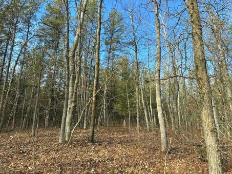 Tbd Wildwood Avenue Nevis MN 56467