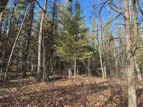 Tbd Wildwood Avenue Nevis MN 56467