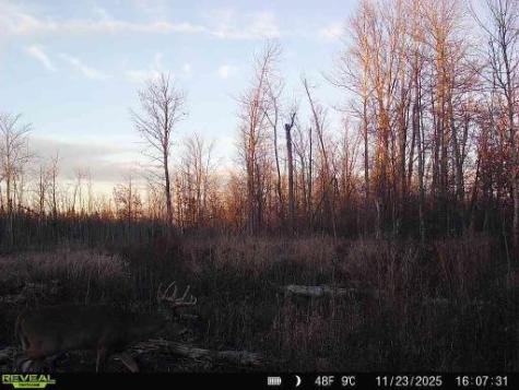 Xxx Fleming Logging Road Hinckley MN 55037