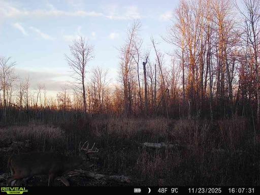 Xxx Fleming Logging Road Hinckley MN 55037