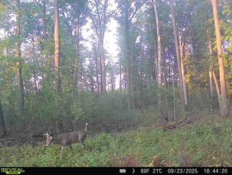 Xxx Fleming Logging Road Hinckley MN 55037
