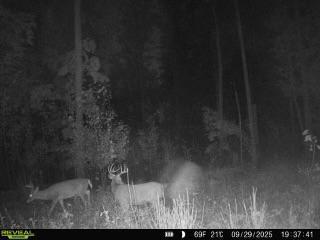 Xxx Fleming Logging Road Hinckley MN 55037