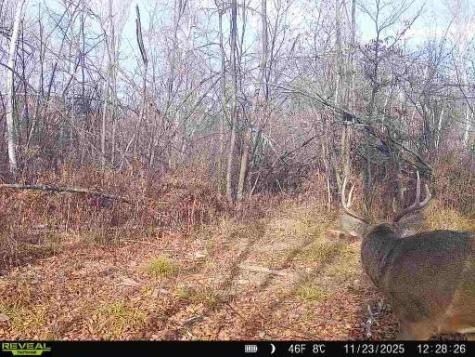 Xxx Fleming Logging Road Hinckley MN 55037