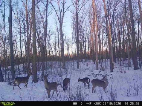 Xxx Fleming Logging Road Hinckley MN 55037
