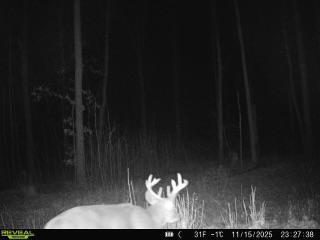 Xxx Fleming Logging Road Hinckley MN 55037