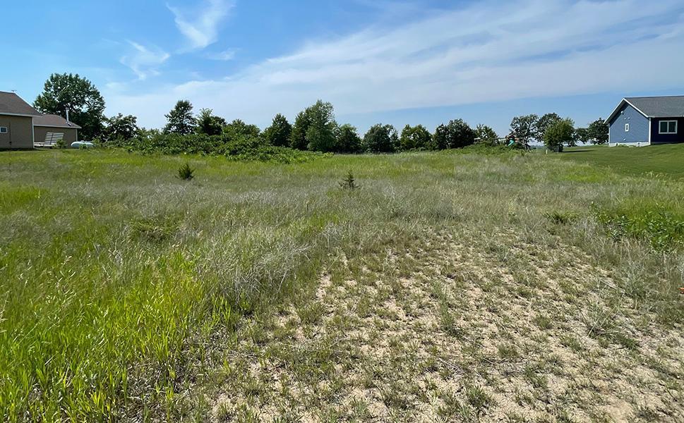 Lot 4 Seclusion Point Road Dent MN 56528