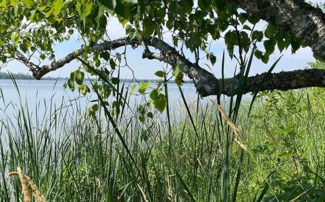 Lot 4 Seclusion Point Road Dent MN 56528