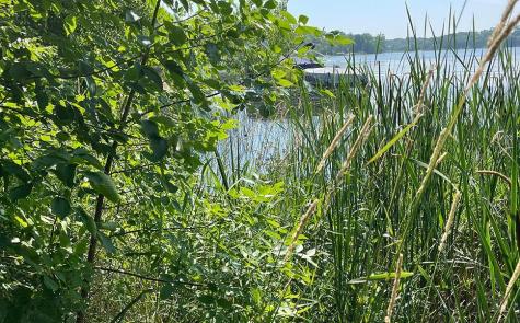 Lot 4 Seclusion Point Road Dent MN 56528