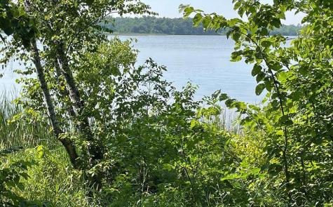 Lot 4 Seclusion Point Road Dent MN 56528