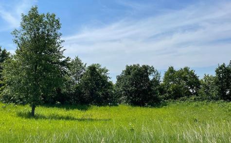 Lot 4 Seclusion Point Road Dent MN 56528