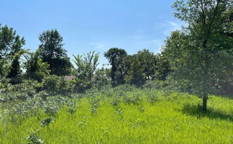 Lot 4 Seclusion Point Road Dent MN 56528