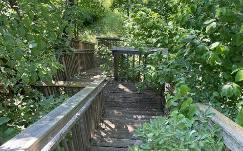 Lot 4 Seclusion Point Road Dent MN 56528