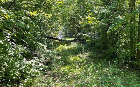 Lot 4 Seclusion Point Road Dent MN 56528