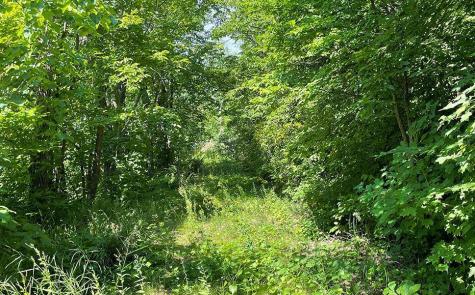 Lot 4 Seclusion Point Road Dent MN 56528