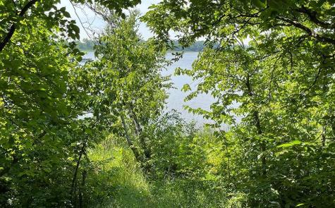 Lot 4 Seclusion Point Road Dent MN 56528