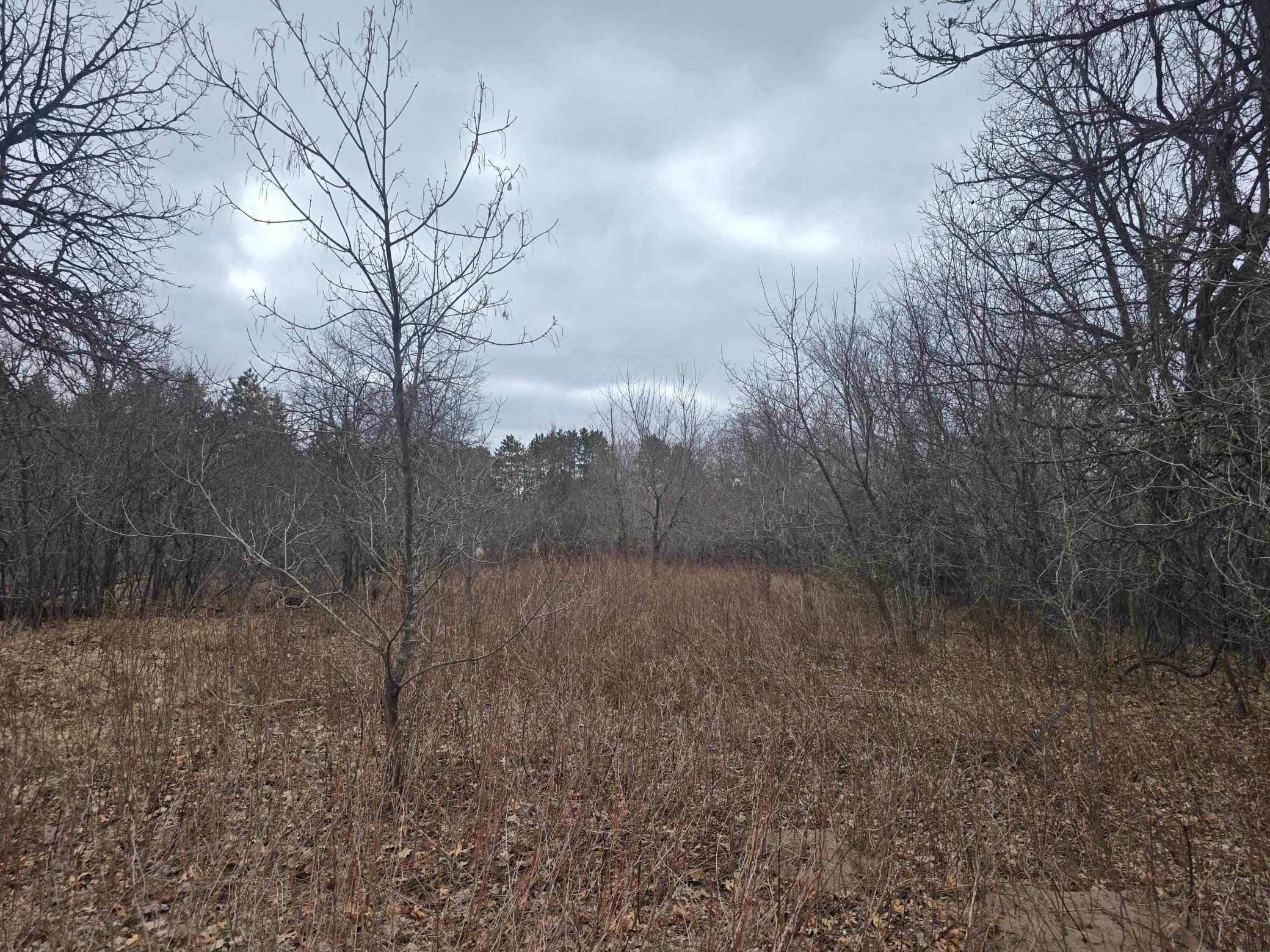 L11,B1 288th Ave Avenue NW Zimmerman MN 55398