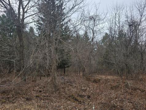 L11,B1 288th Ave Avenue NW Zimmerman MN 55398