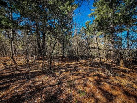 Xxx County 14 Boulevard Cannon Falls MN 55009