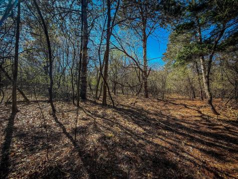 Xxx County 14 Boulevard Cannon Falls MN 55009