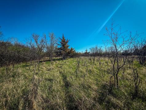 Xxx County 14 Boulevard Cannon Falls MN 55009