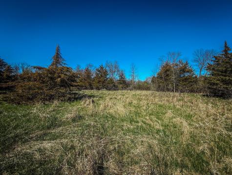Xxx County 14 Boulevard Cannon Falls MN 55009