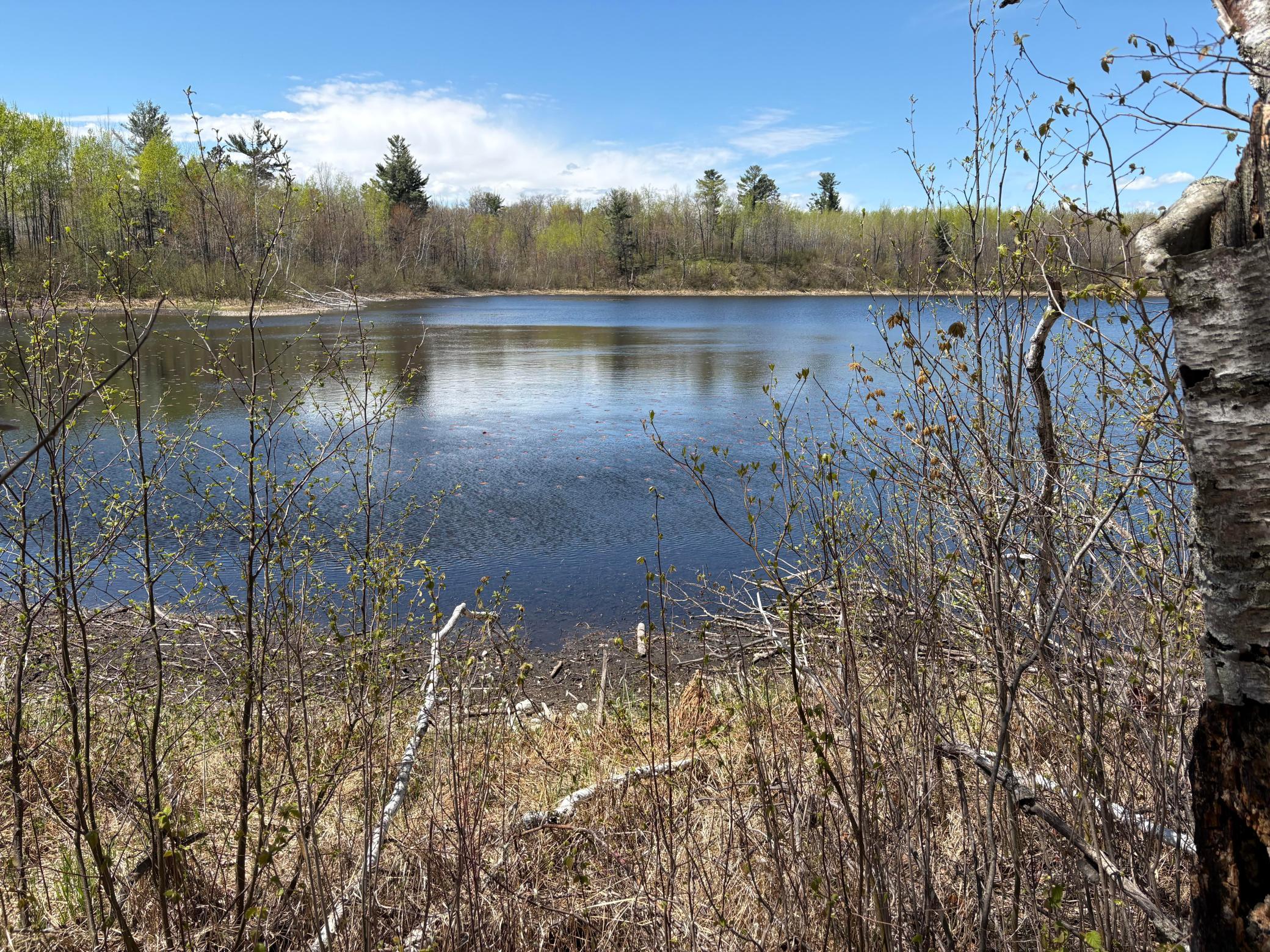 854X W Chub Lake Road Carlton MN 55718