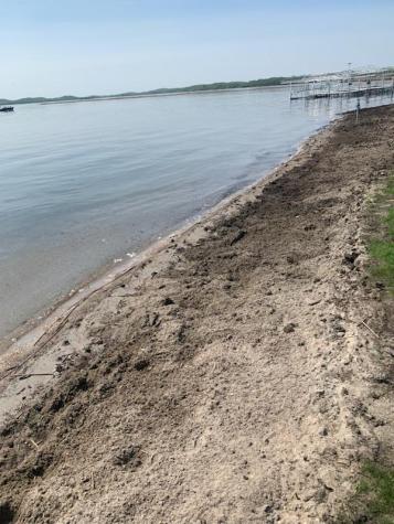 Tbd 4 Bass Harbor Road Pelican Rapids MN 56572