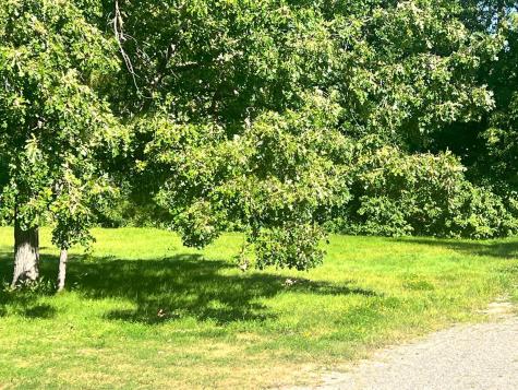 Tbd Garden Street Walker MN 56484