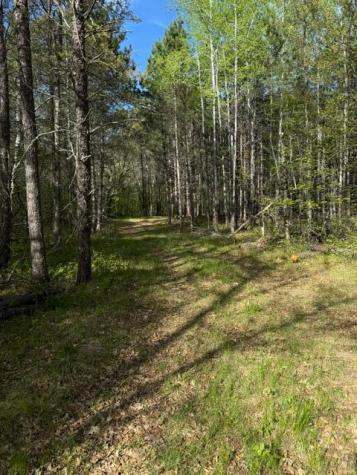 Tbd County Road 3 Merrifield MN 56465