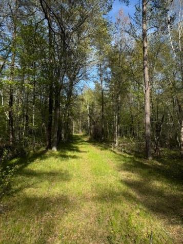 Tbd County Road 3 Merrifield MN 56465