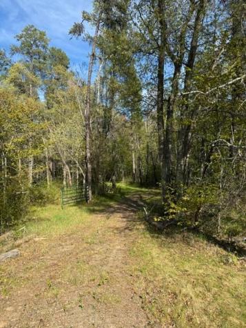 Tbd County Road 3 Merrifield MN 56465