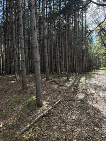 Tbd County Road 3 Merrifield MN 56465