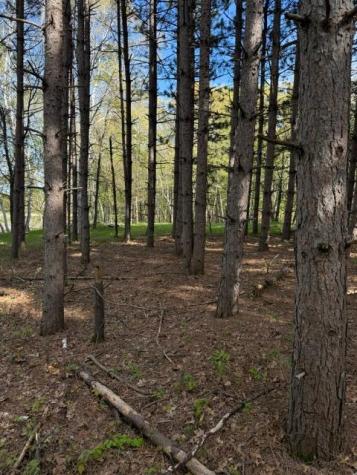 Tbd County Road 3 Merrifield MN 56465