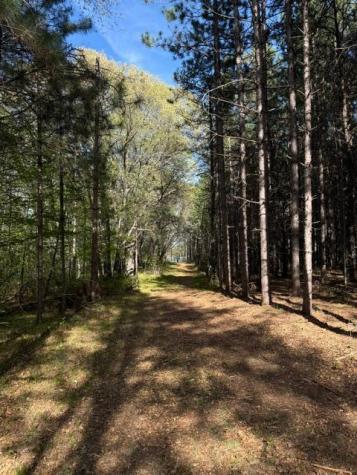 Tbd County Road 3 Merrifield MN 56465