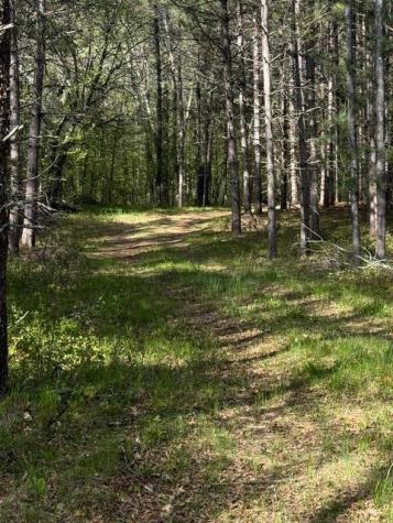 Tbd County Road 3 Merrifield MN 56465