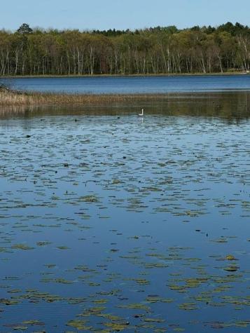 Tbd County Road 3 Merrifield MN 56465