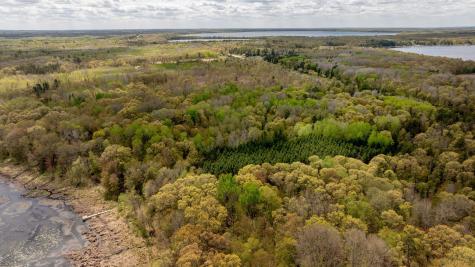 Tbd County Road 3 Merrifield MN 56465