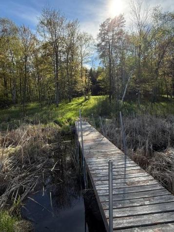 Tbd County Road 3 Merrifield MN 56465