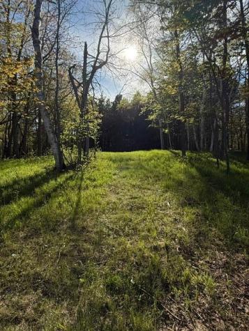 Tbd County Road 3 Merrifield MN 56465