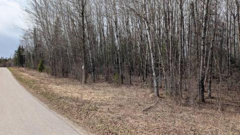 Lot 2 Lund Road Cook MN 55723