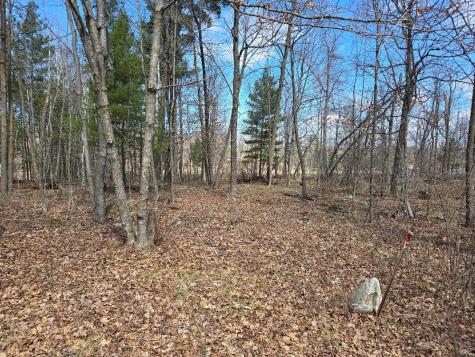 1470 Cardinal Lane NE Longville MN 56655