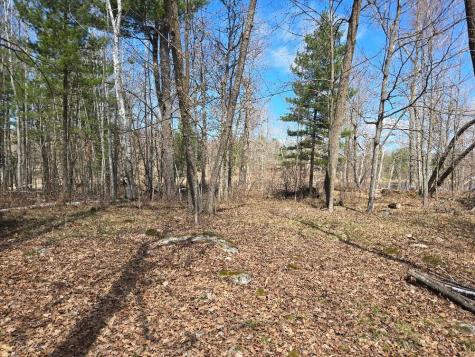 1470 Cardinal Lane NE Longville MN 56655