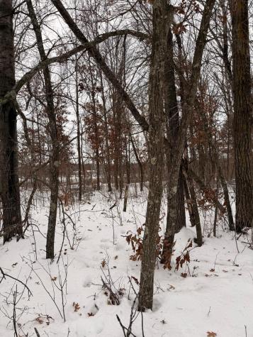 Lot C Sandbar Lane Merrifield MN 56465