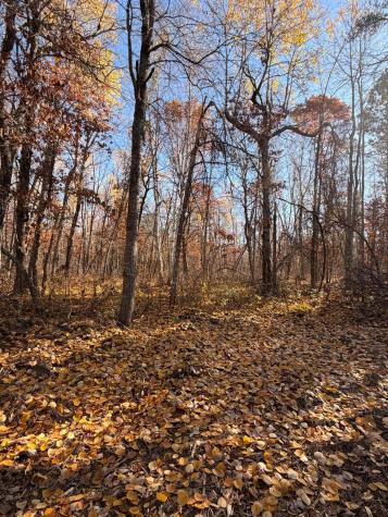 Lot C Sandbar Lane Merrifield MN 56465