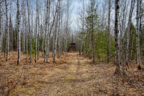 5303 Markham Road Makinen MN 55763