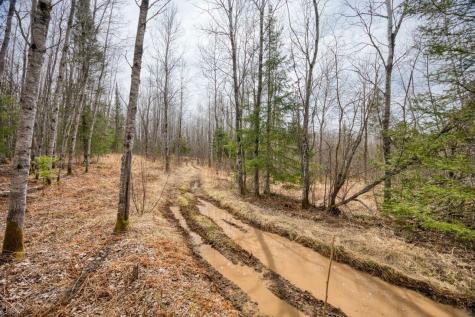 5303 Markham Road Makinen MN 55763