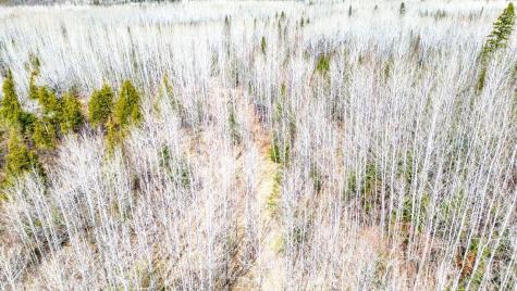 5303 Markham Road Makinen MN 55763